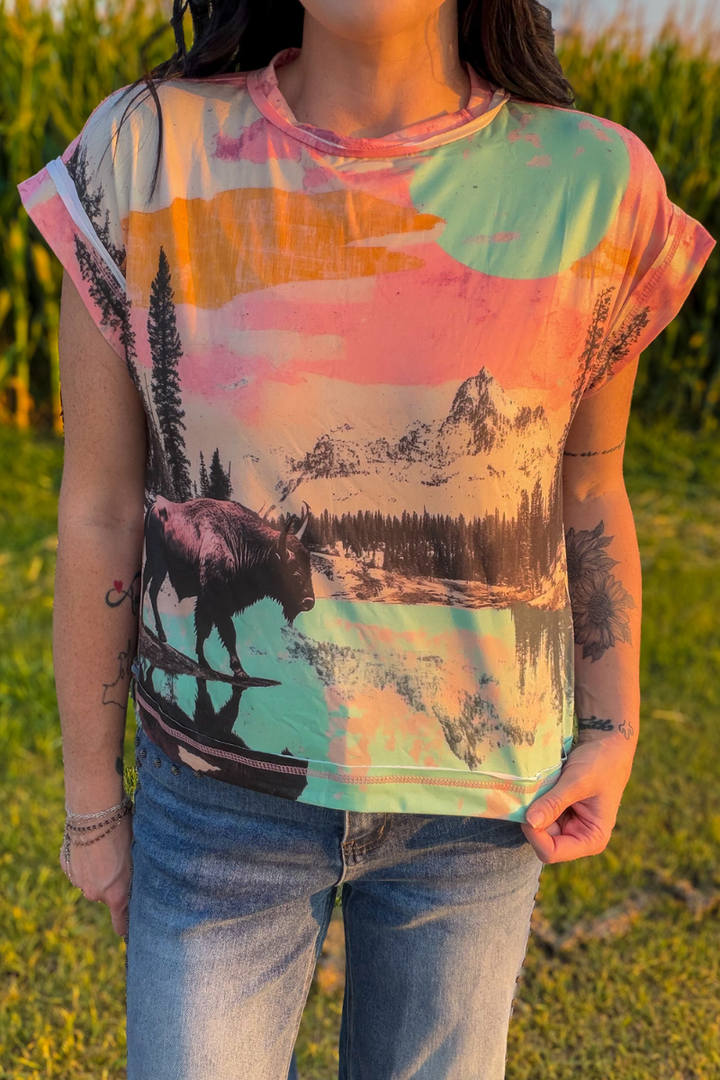 Where the Buffalo Roams Top