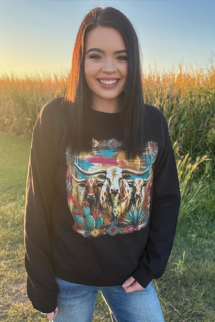 Painted West Pullover
