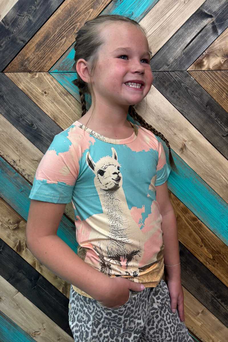 Mini Lucky Llama Top