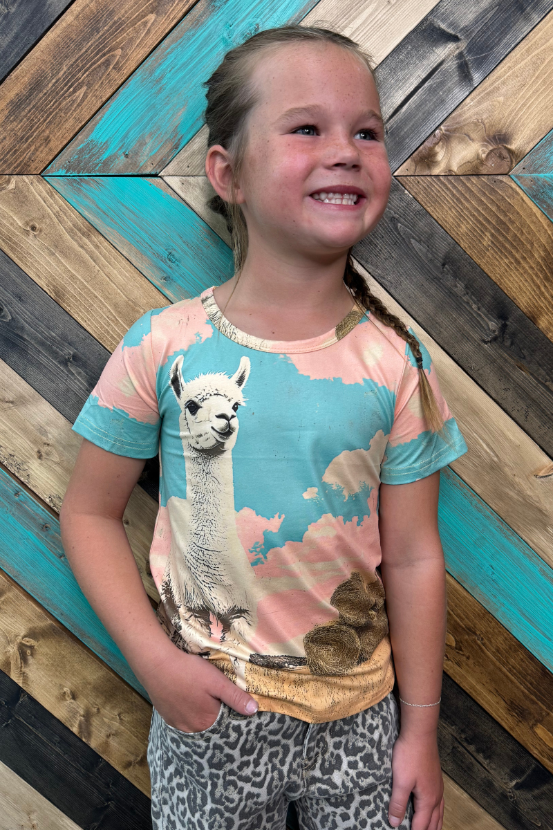 Mini Lucky Llama Top