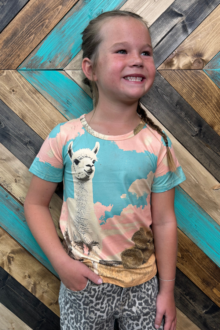 Mini Lucky Llama Top