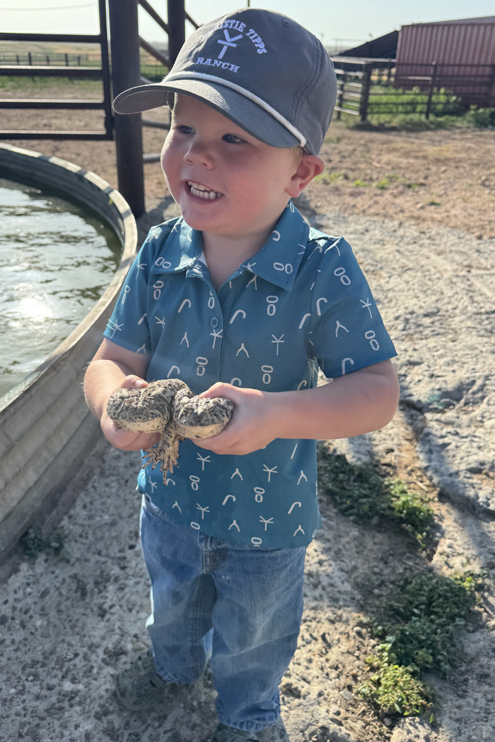 Mini Cattleman Polo